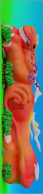 Шкурка CHUBBY Yonktape Orange