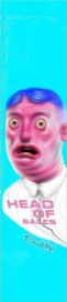 Шкурка CHUBBY Head of Sales Teal