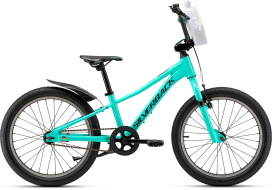 Велосипед SILVERBACK SKID 20 (2025) MATT MYSTIC TEAL/MATT BLACK